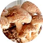 В состав Филайфа для детокса входят грибы шиитаке