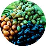 Экстракт плодов пальмы сабаль содержится в составе капсул Предстанол